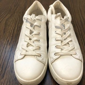 Steve Madden Bertie White Sneaker